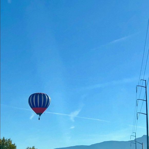 Meet your Posher, Leesa - Picture 1 of 1